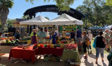 Dunedin Outdoor Market 2026 in Dunedin, FL Date, Location, Local Vendors, Fresh Produce, and Shopping