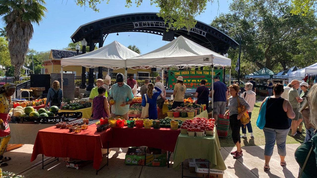 Dunedin Outdoor Market 2026 in Dunedin, FL Date, Location, Local Vendors, Fresh Produce, and Shopping