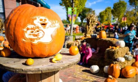 Farmington Fall and Halloween Craft Boutique 2026 in Farmington, UT Dates, Venue, Vendors, and Shopping Highlights