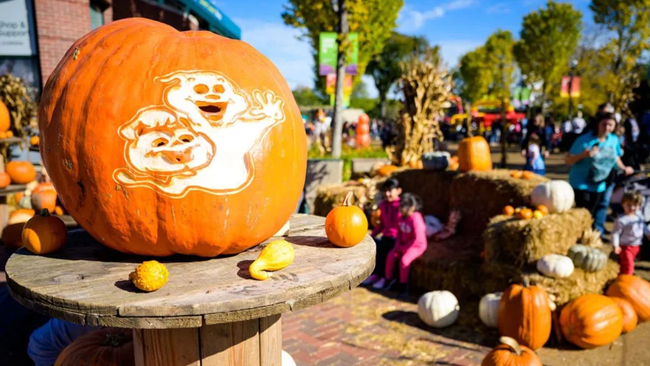 Farmington Fall and Halloween Craft Boutique 2026 in Farmington, UT Dates, Venue, Vendors, and Shopping Highlights