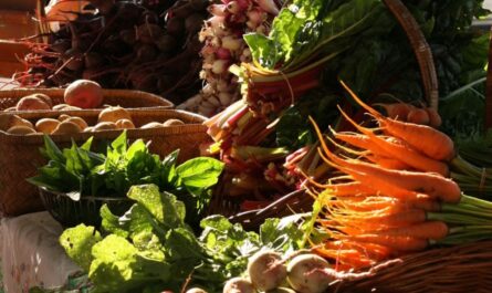 Franklin Harvest Market 2026 in Franklin, KY Date, Location, Vendors, Food Trucks, and Event Details