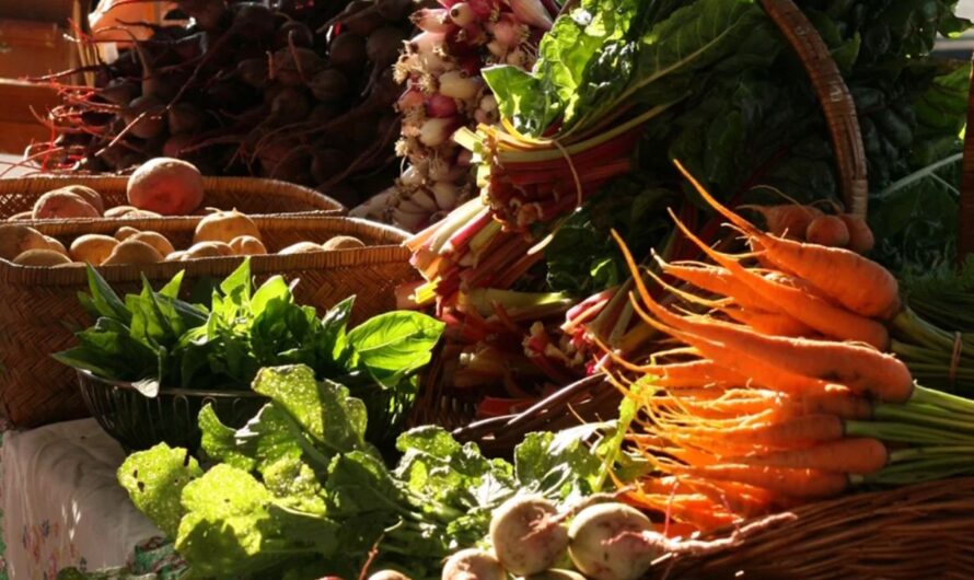Franklin Harvest Market 2026 in Franklin, KY: Date, Location, Vendors, Food Trucks, and Event Details