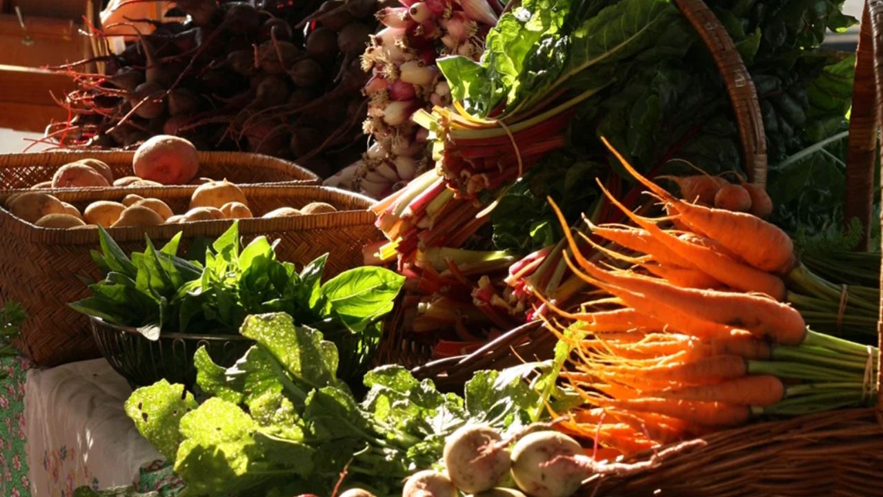 Franklin Harvest Market 2026 in Franklin, KY Date, Location, Vendors, Food Trucks, and Event Details