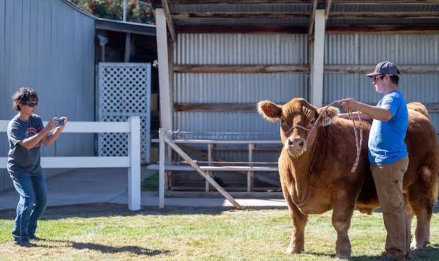 Garfield County Fair and Rodeo 2026 in Pomeroy, WA: Dates, Venue, Livestock Shows, Parade, and Event Details