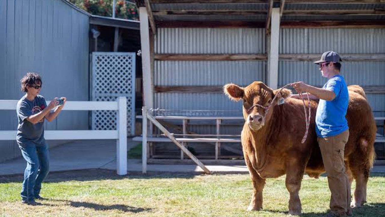 Garfield County Fair and Rodeo 2026 in Pomeroy, WA Dates, Venue, Livestock Shows, Parade, and Event Details