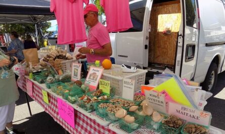 Grants Pass End of Summer Sunday Market 2026 in Grants Pass, OR Date, Venue, Local Vendors, Live Music, and Event Details