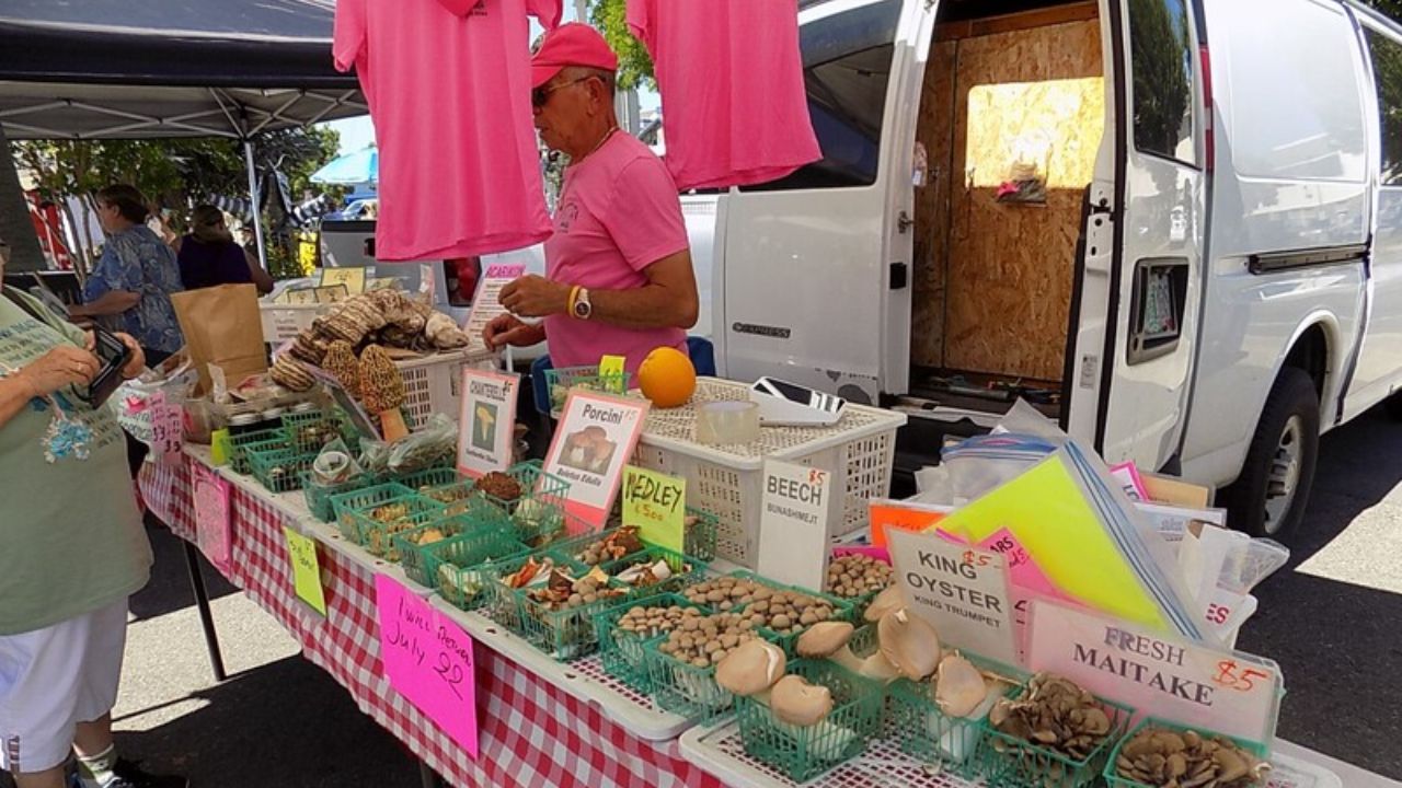 Grants Pass End of Summer Sunday Market 2026 in Grants Pass, OR Date, Venue, Local Vendors, Live Music, and Event Details