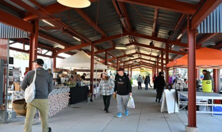 Kalamazoo Autumn Farmers Market 2026 in Kalamazoo, MI Date, Location, Live Music, Local Vendors, and Event Details