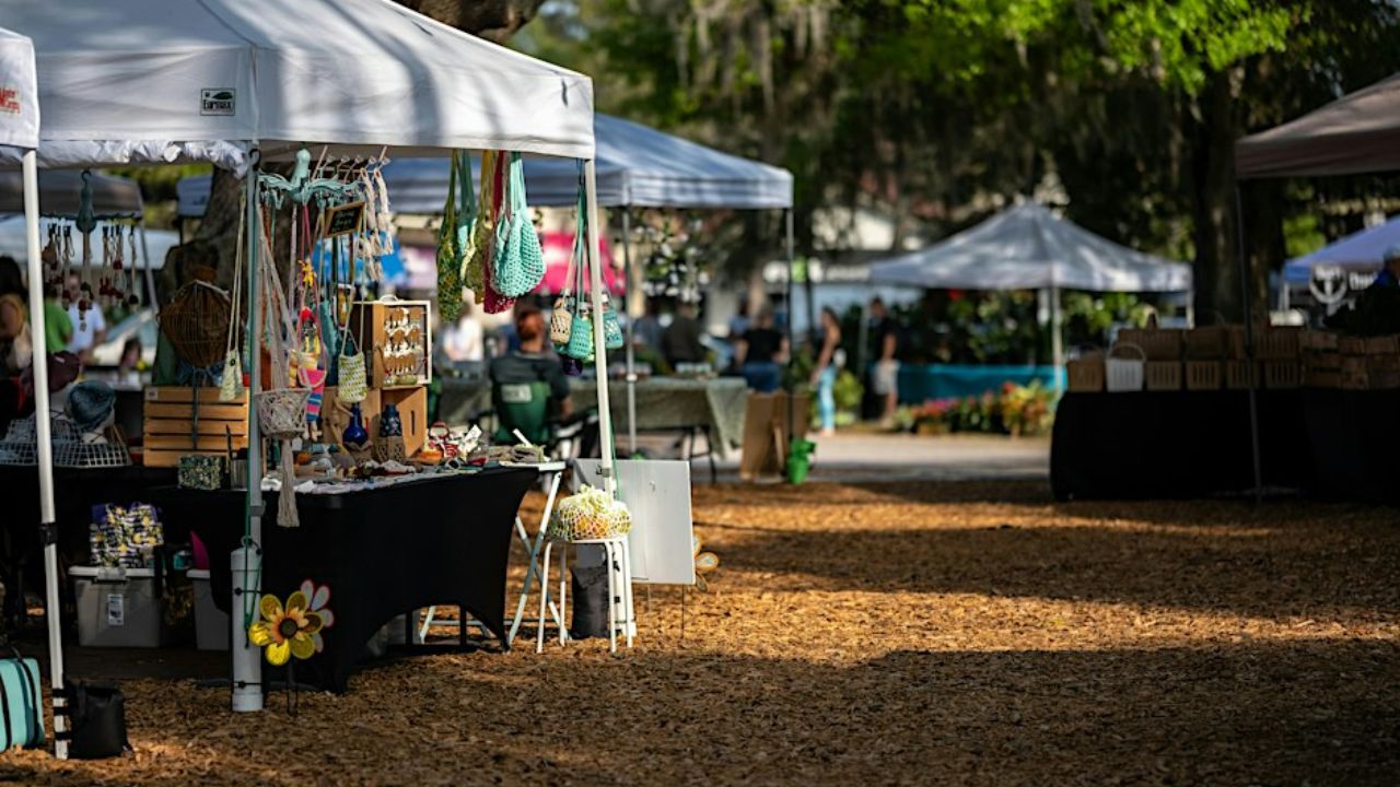 La Vernia Market Days and State Fair Celebration 2026 in La Vernia, TX Date, Location, Vendors, and Event Details