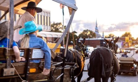 Labor Day Weekend Events in Kansas City, MO 2026 Festivals, Music, Family Activities and More