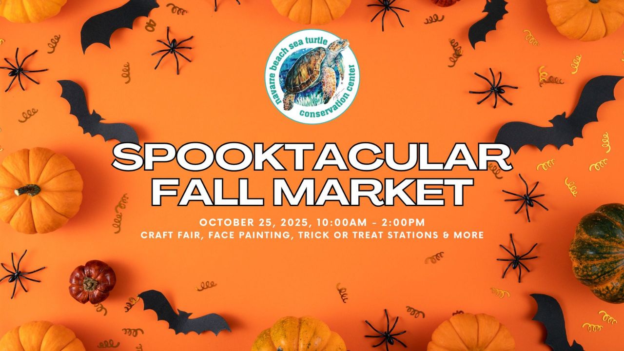 Navarre Falloween Spooktacular Market 2026 in Navarre, FL Date, Location, Vendors, and Family Activities