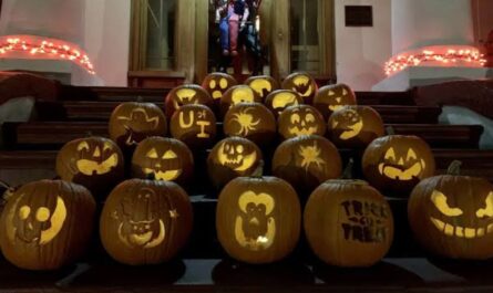 Boise Trick-or-Treat Times 2026 Halloween Hours, Events and What to Know