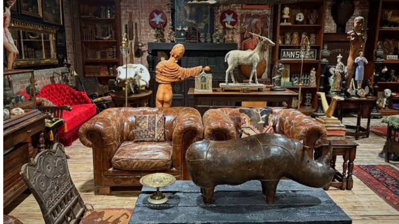 Bridgeport Oddities Flea Market 2026 in Bridgeport, CT Date, Hours, Venue, and What to Expect