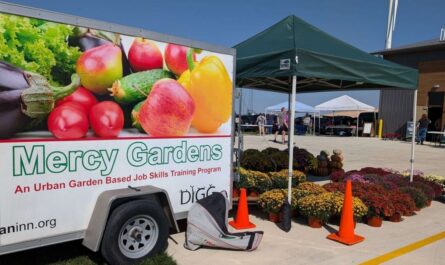 Decatur Mercy Market 2026 in Decatur, IL Date, Location, Vendors, and What to Expect