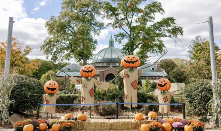 Expo Michigan Halloween Weekend Marketplace 2026 in Livonia, MI: Dates, Hours, and Highlights