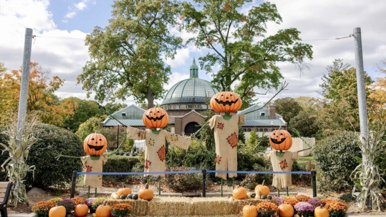 Expo Michigan Halloween Weekend Marketplace 2026 in Livonia, MI Dates, Hours, and Highlights