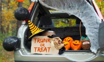 Fort Wayne Trick-or-Treat Times 2026 When Does Halloween Trick-or-Treating Start