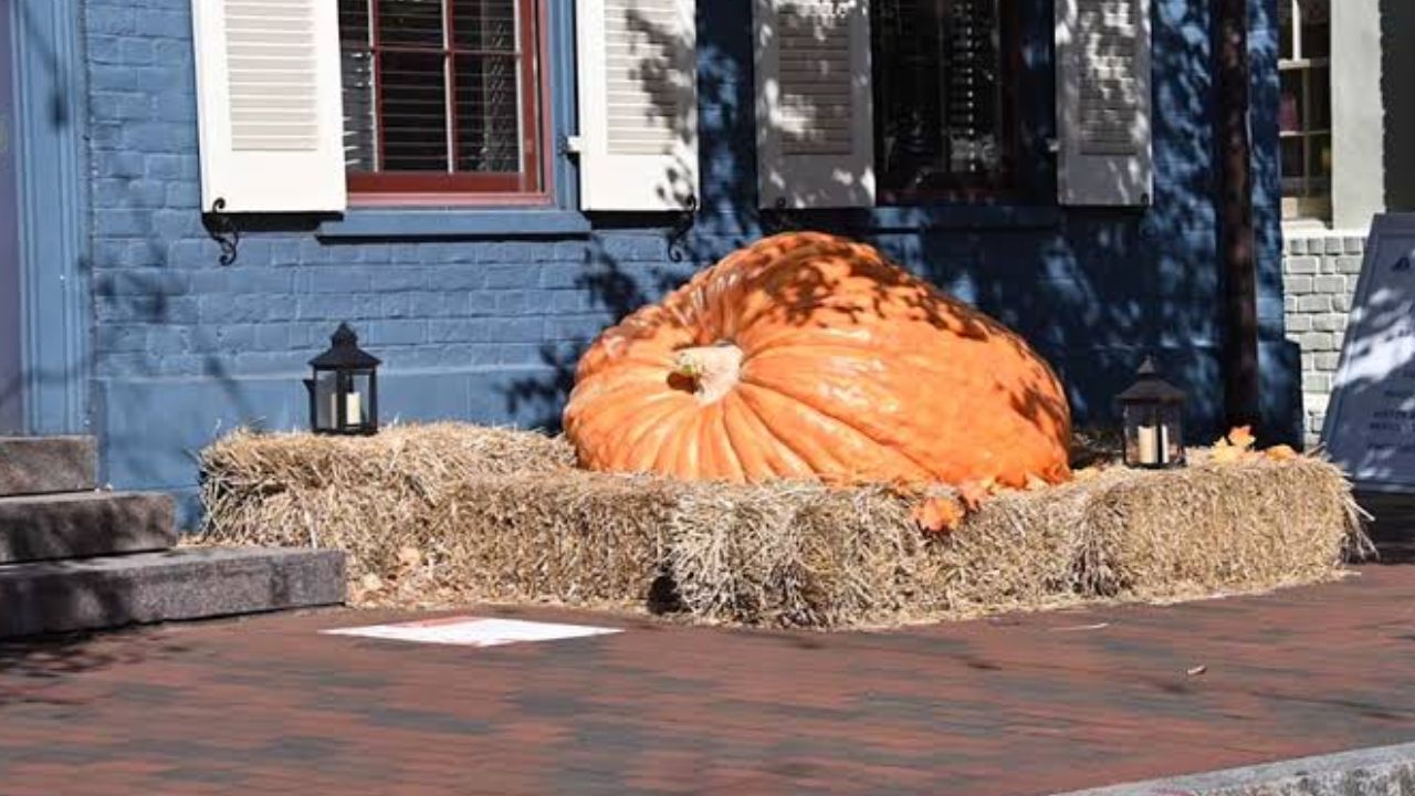 Halloween Events in Annapolis, MD 2026 Trick-or-Treating, Ghost Tours and Family Activities