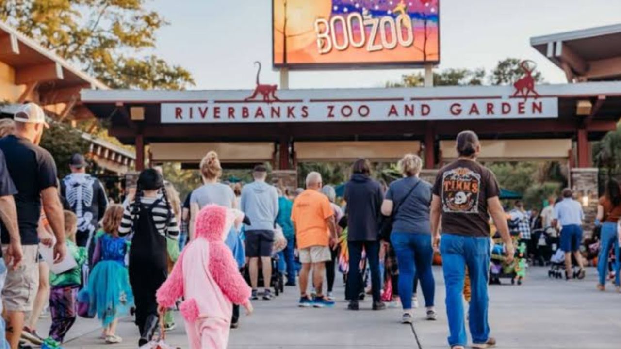 Halloween Events in Columbia, SC 2026 Boo at the Zoo, Trick-or-Treating and Spooky Family Fun