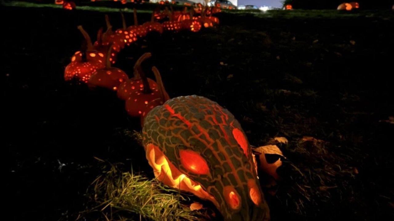 Halloween Events in Dayton, OH 2026 Dates, Times, Family Events, Haunted Attractions and Trick-or-Treat Times