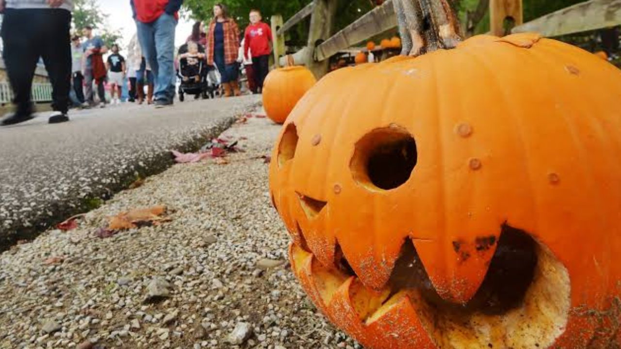 Halloween Events in Erie, PA 2026 Trick-or-Treating, Haunted Attractions and Fall Family Fun