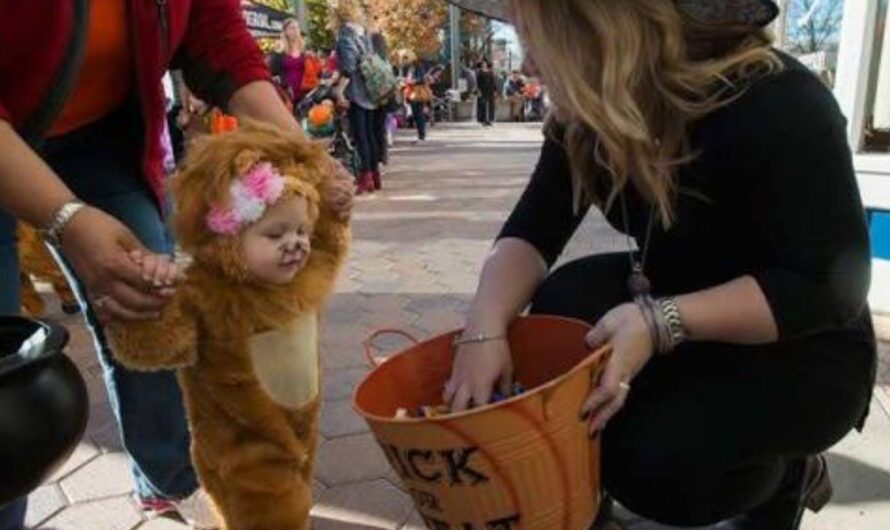 Halloween Events in Fort Collins, CO 2026: Trick-or-Treating, Pumpkin Festivals and Spooky Attractions