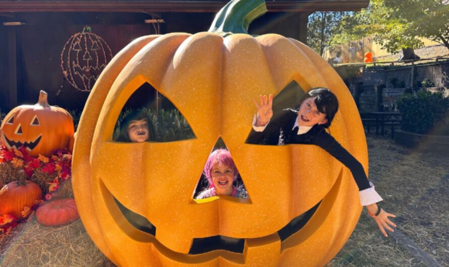 Halloween Events in Greenville, SC 2026: Boo in the Zoo, Trick-or-Treating and Haunted Attractions