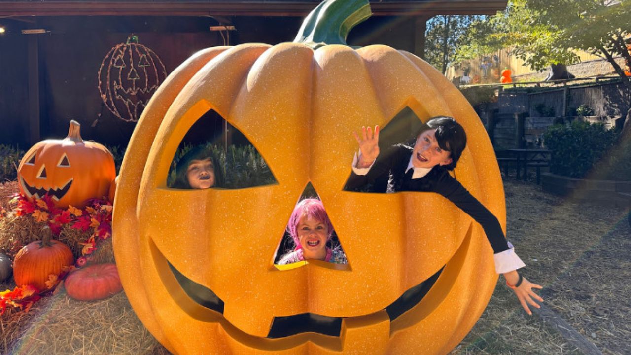 Halloween Events in Greenville, SC 2026 Boo in the Zoo, Trick-or-Treating and Haunted Attractions