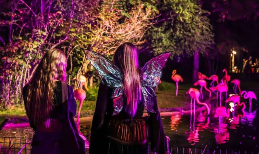 Halloween Events in Nashville, TN 2026: Parties, Haunted Houses and Family Events