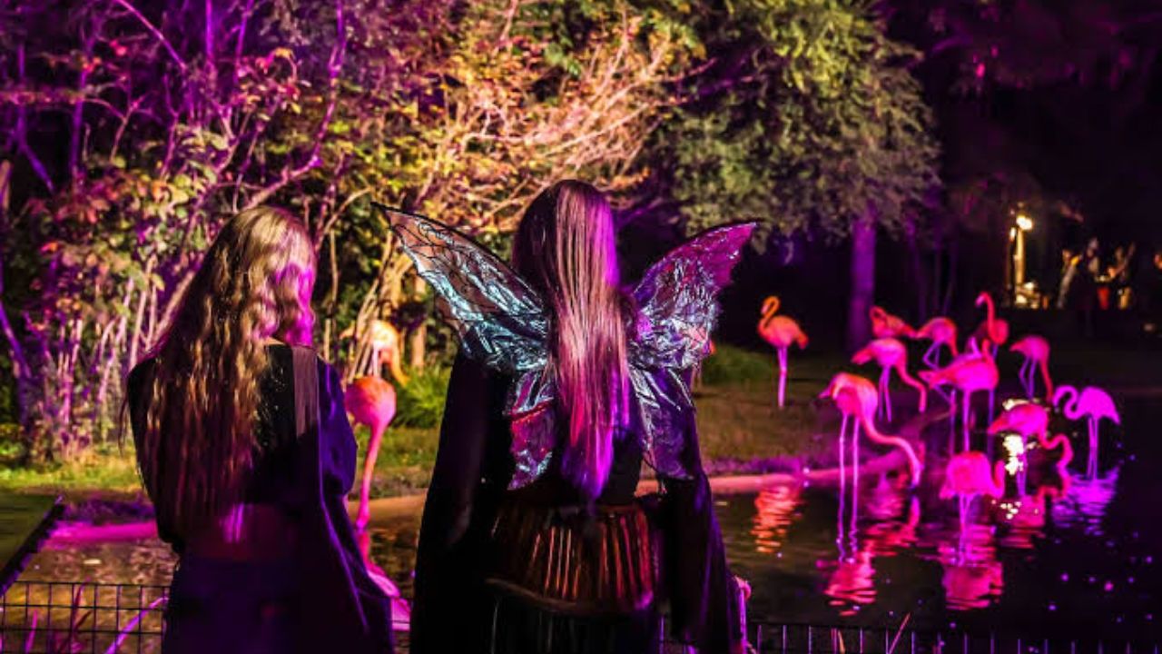 Halloween Events in Nashville, TN 2026 Parties, Haunted Houses and Family Events