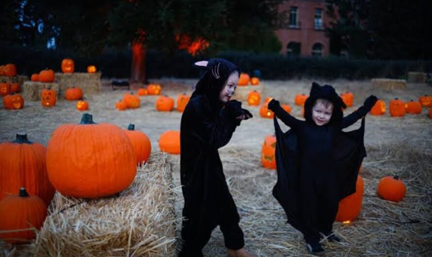 Halloween Events in Oakland, CA 2026: Trick-or-Treating, Haunted Attractions and Family Activities