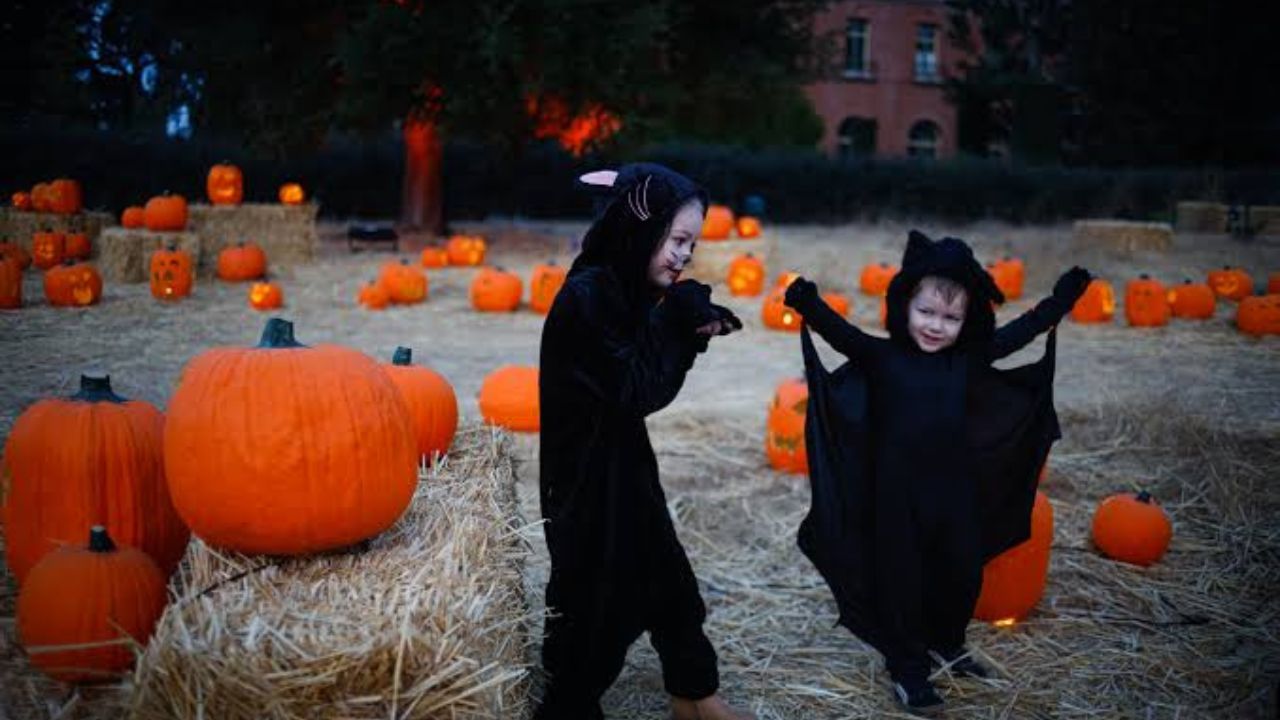 Halloween Events in Oakland, CA 2026 Trick-or-Treating, Haunted Attractions and Family Activities