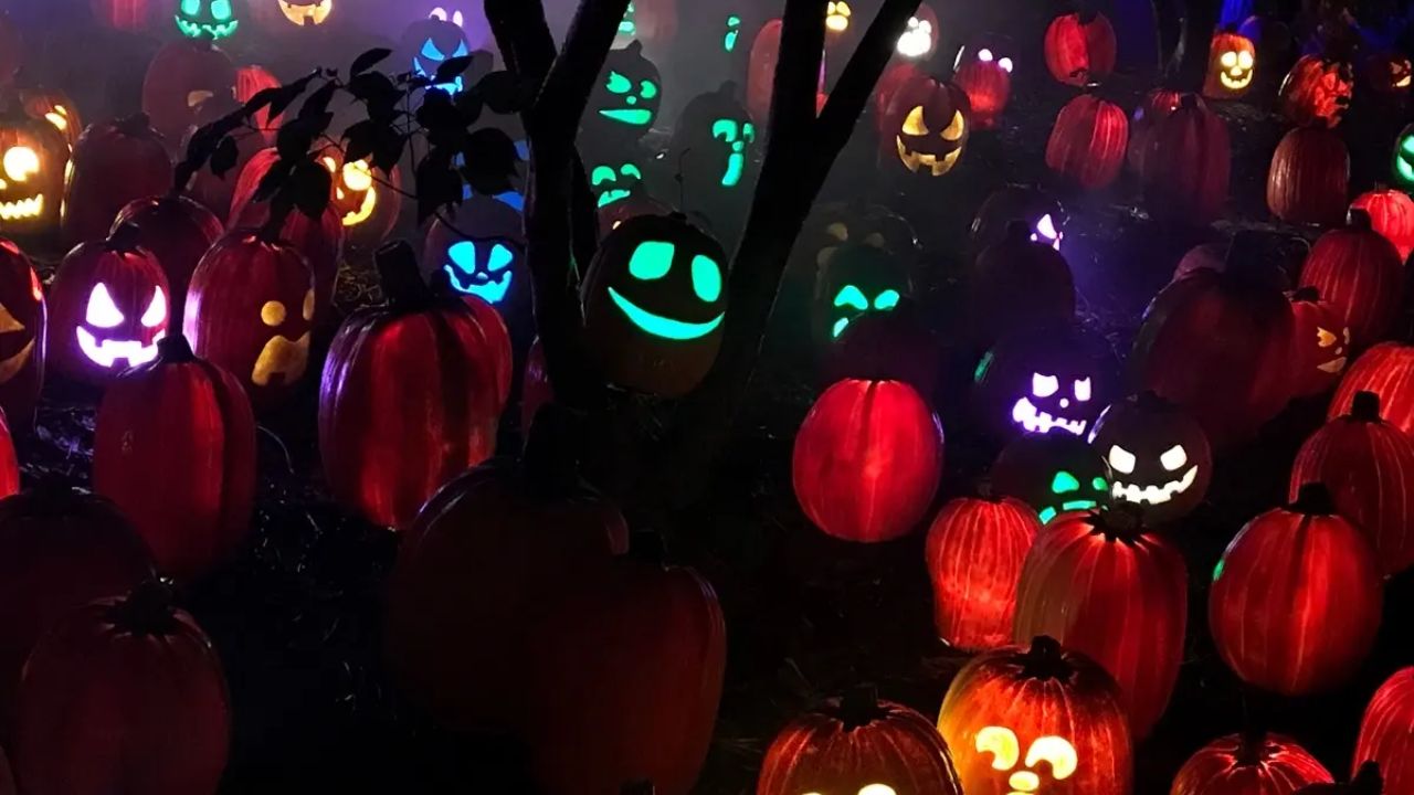 Halloween Events in Plymouth, MA 2026 Trick-or-Treating, Ghost Tours and Spooky Fall Activities
