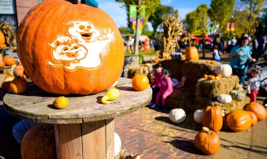 Halloween Events in Provo, UT 2026: Haunted Attractions, Trick-or-Treating and Family Fun