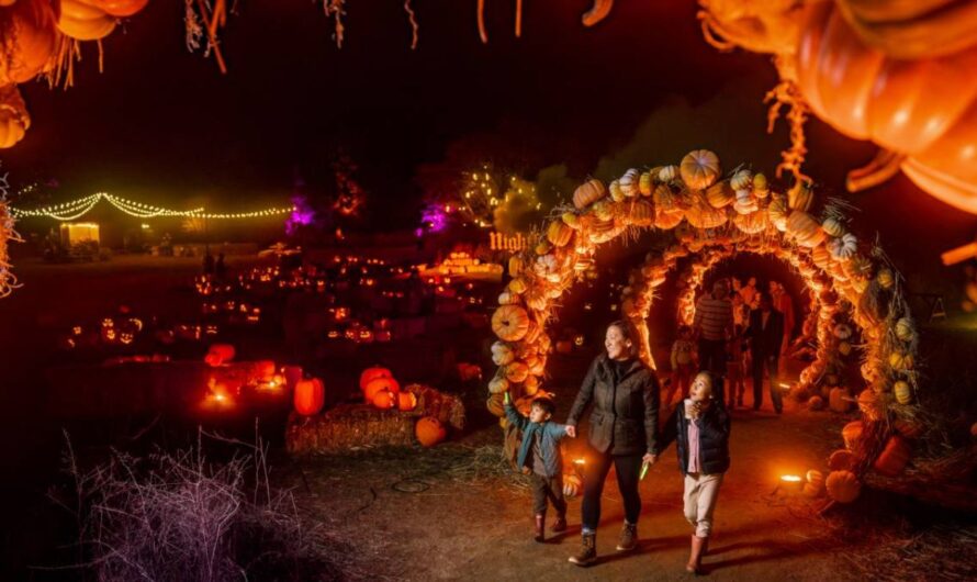 Halloween Events in San Francisco, CA 2026: Dates, Times, Family Events, Parties, and Haunted Attractions