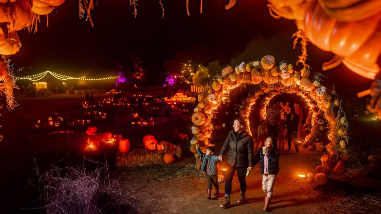 Halloween Events in San Francisco, CA 2026 Dates, Times, Family Events, Parties, and Haunted Attractions