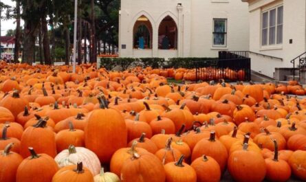 Halloween Events in St. Augustine, FL 2026 Dates, Times, Free Family Activities, Ghost Tours, and Spooky Attractions