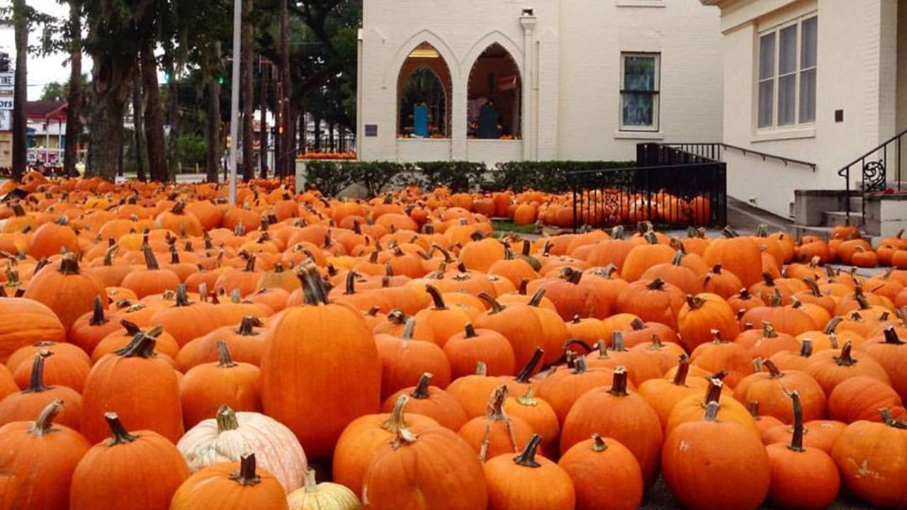 Halloween Events in St. Augustine, FL 2026 Dates, Times, Free Family Activities, Ghost Tours, and Spooky Attractions