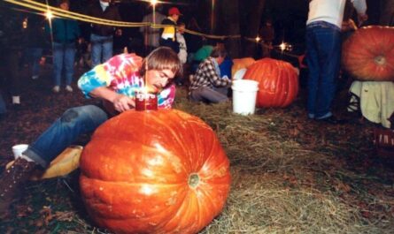 Halloween Events in Wilmington, DE 2026 Trick-or-Treating, Haunted Attractions and Family Fun