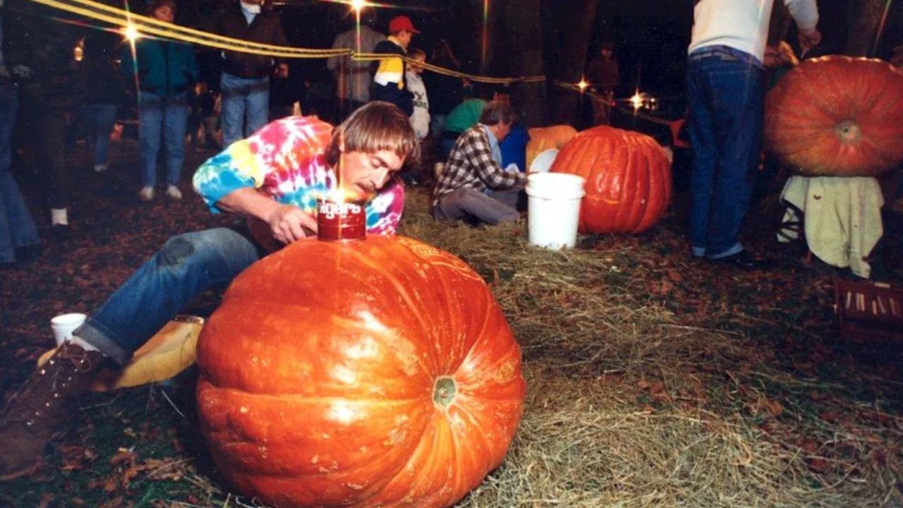 Halloween Events in Wilmington, DE 2026 Trick-or-Treating, Haunted Attractions and Family Fun