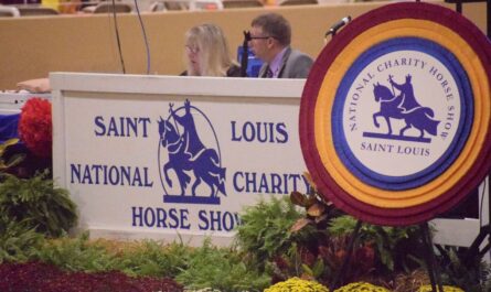Lake Saint Louis Fall Festival All-Breed Horse Show 2026 in Missouri Date, Venue, and What to Expect