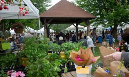 Morningside Fall Outdoor Market 2026 in Charlestown, NH Date, Hours, Free Admission, and Highlights