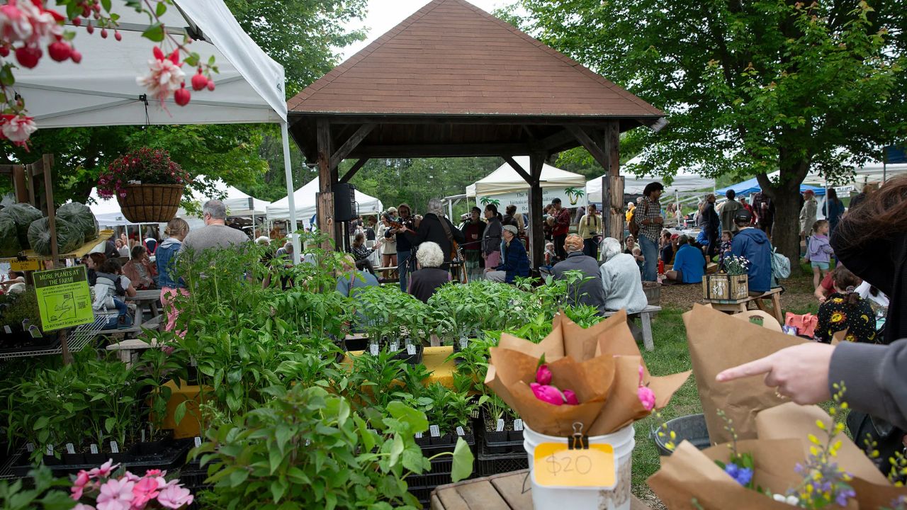 Morningside Fall Outdoor Market 2026 in Charlestown, NH Date, Hours, Free Admission, and Highlights