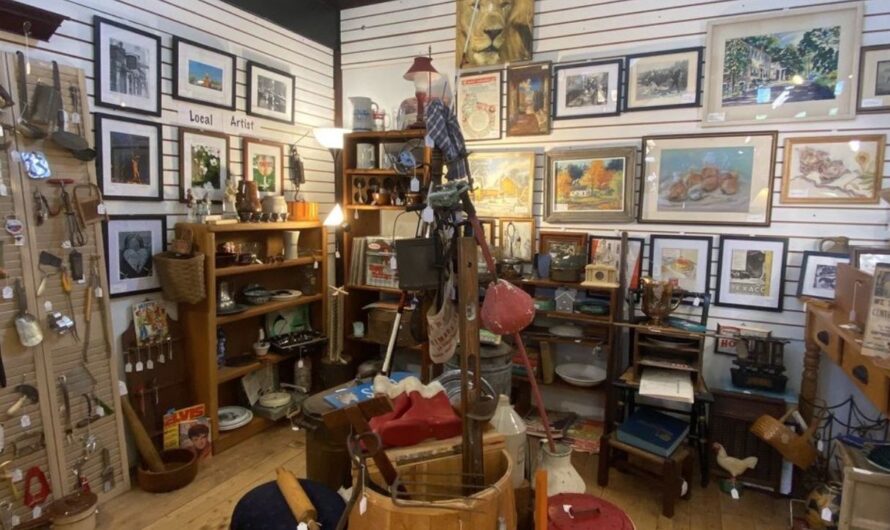 North Hampton Autumn Antiques Show 2026 in North Hampton, NH: Dates, Hours, and What to Expect