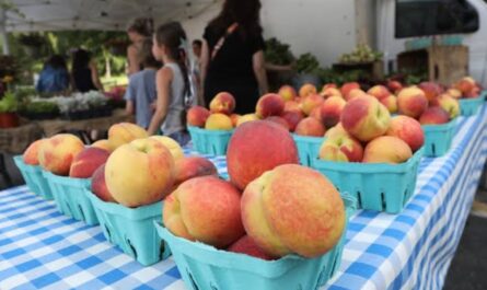 O’Fallon Farmers and Artisans Market 2026 in O’Fallon, MO Date, Hours, Vendors, and What to Expect