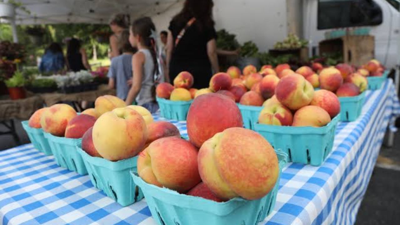 O’Fallon Farmers and Artisans Market 2026 in O’Fallon, MO Date, Hours, Vendors, and What to Expect