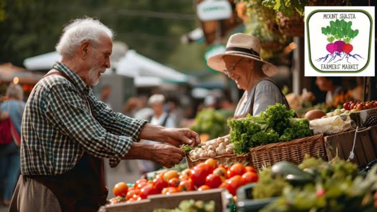 Mount Shasta Fall Farmers Market 2026 in Mount Shasta, CA: Date, Hours, Location, and What to Expect