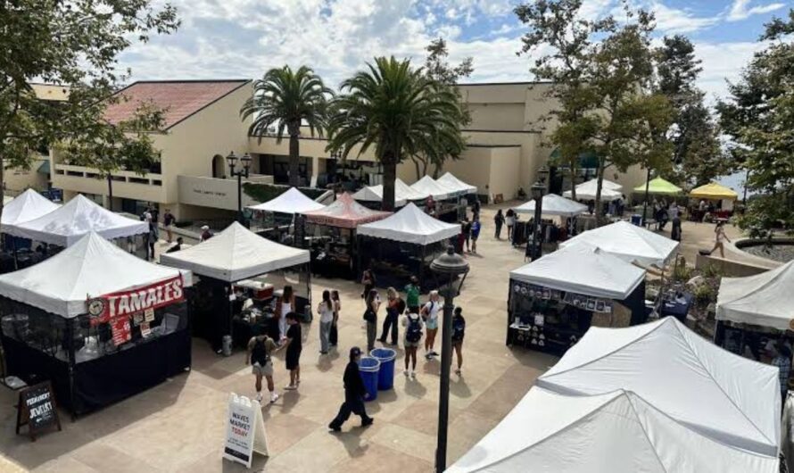 Pepperdine Fall Waves Market 2026 in Malibu, CA: Date, Location, Shopping Highlights, and What to Expect
