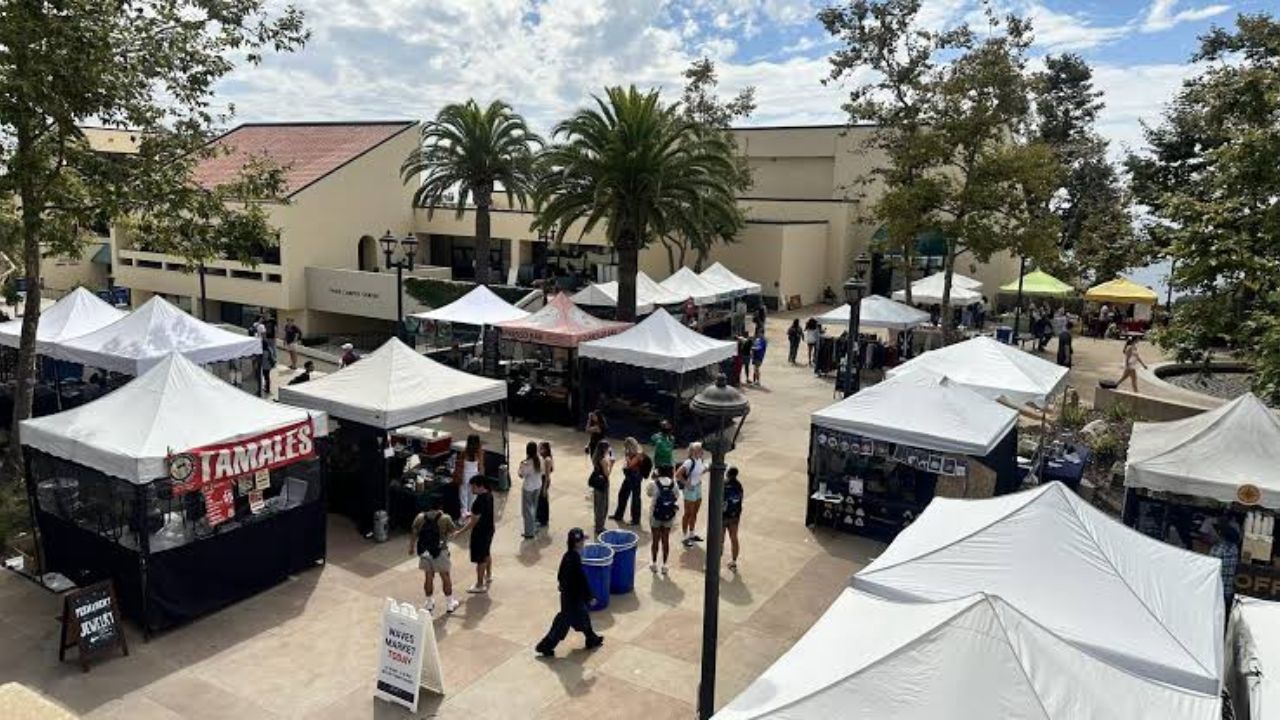 Pepperdine Fall Waves Market 2026 in Malibu, CA: Date, Location ...