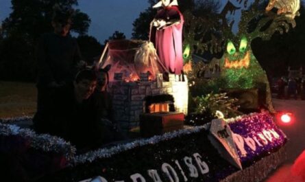 Pinckneyville Mardi Gras Vendor Fair 2026 in Pinckneyville, IL Date, Hours, and What to Expect